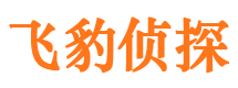 龙湖调查事务所